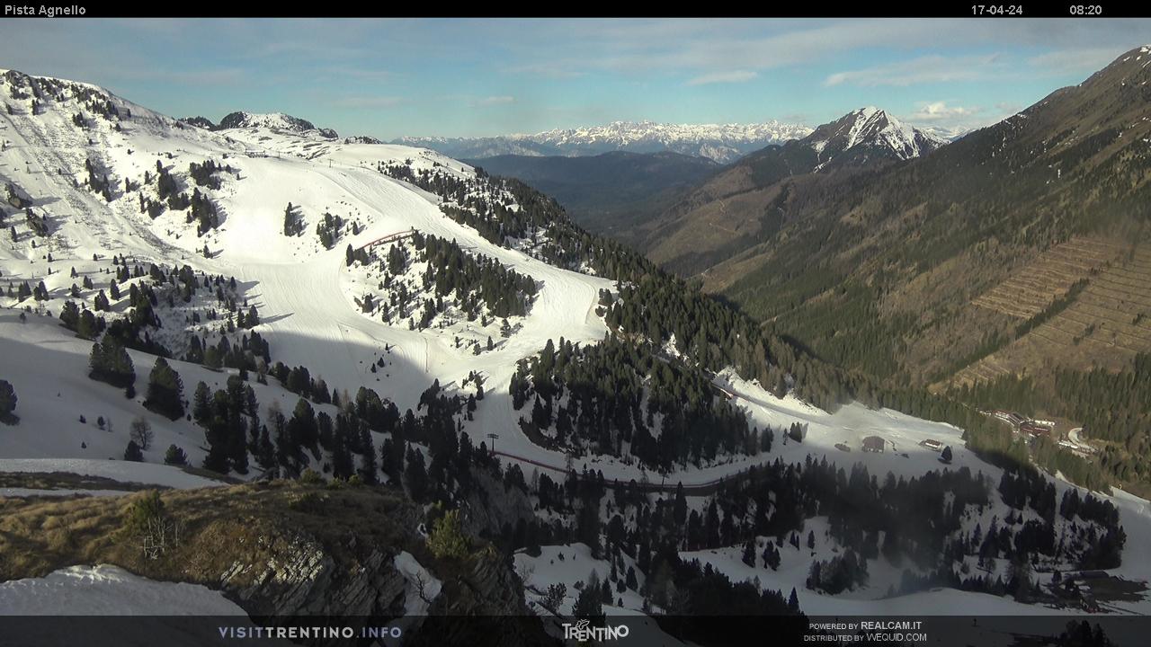 Webcam Seggiovia e pista monte Agnello - Pampeago, Ski Center Latemar